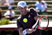 星空体育-关于穆雷回归赛场，大胜首场状态亮眼，雄鹿观众沸腾！的信息