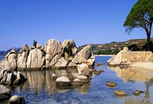 星空体育-Scout爆冷击败DWG，爆冷引爆全场！的简单介绍